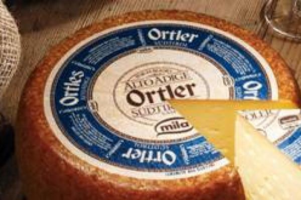 Ortler