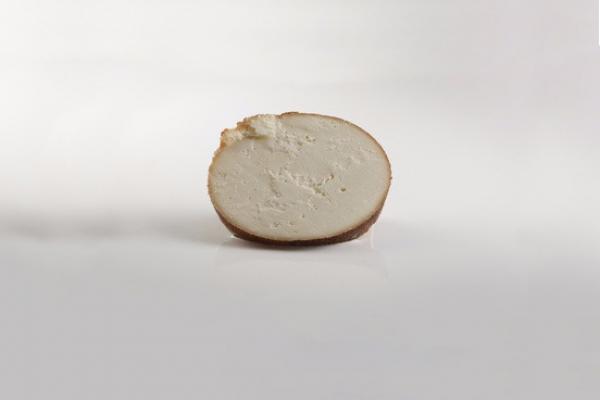 Ricotta di pecora Sarda